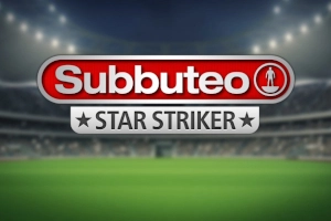 13166 subbuteo star striker
