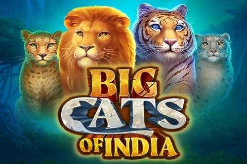 24259 big cats of india